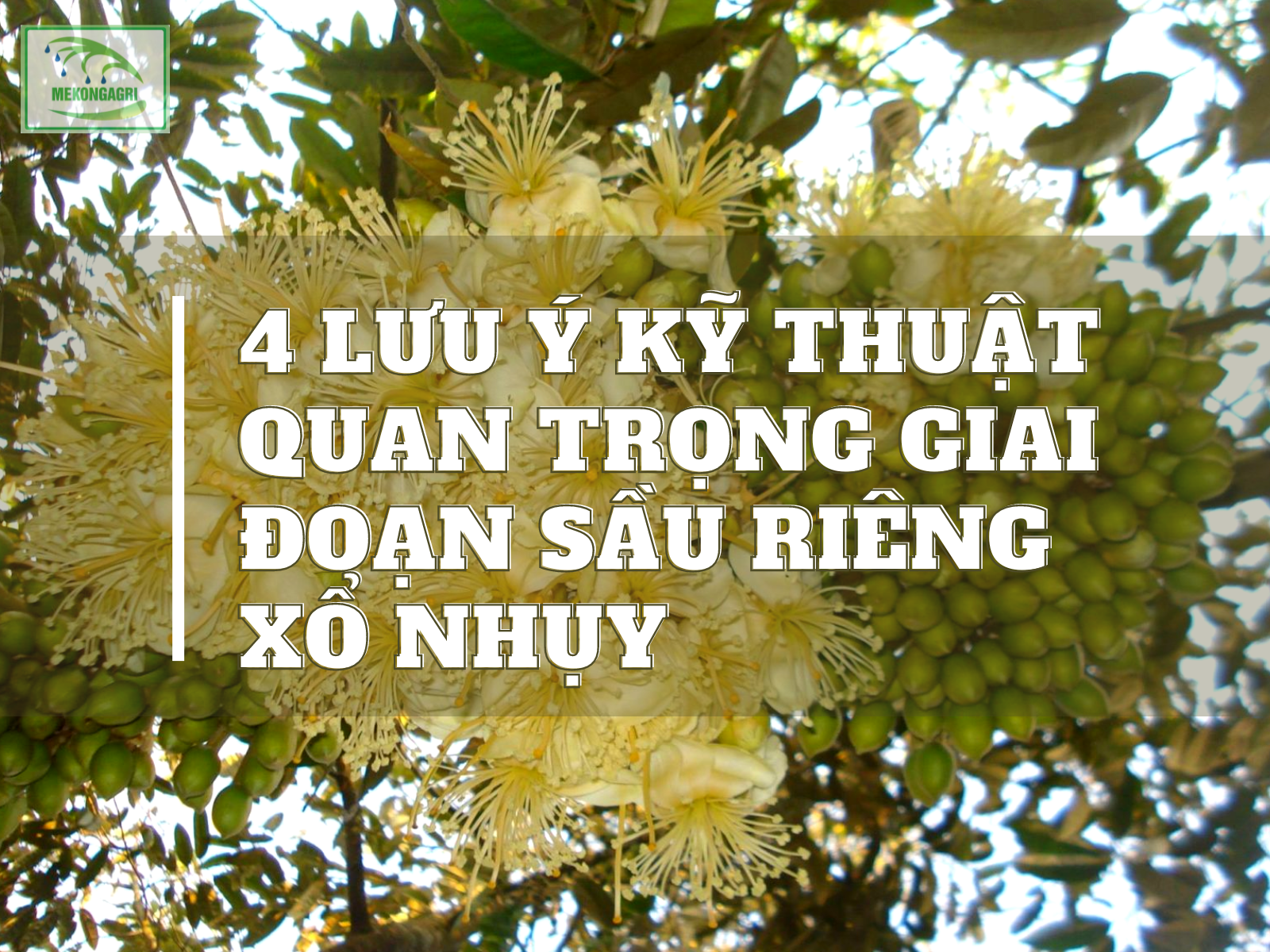 Thiết kế chưa có tên (8)