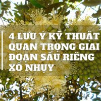 Thiết kế chưa có tên (8)