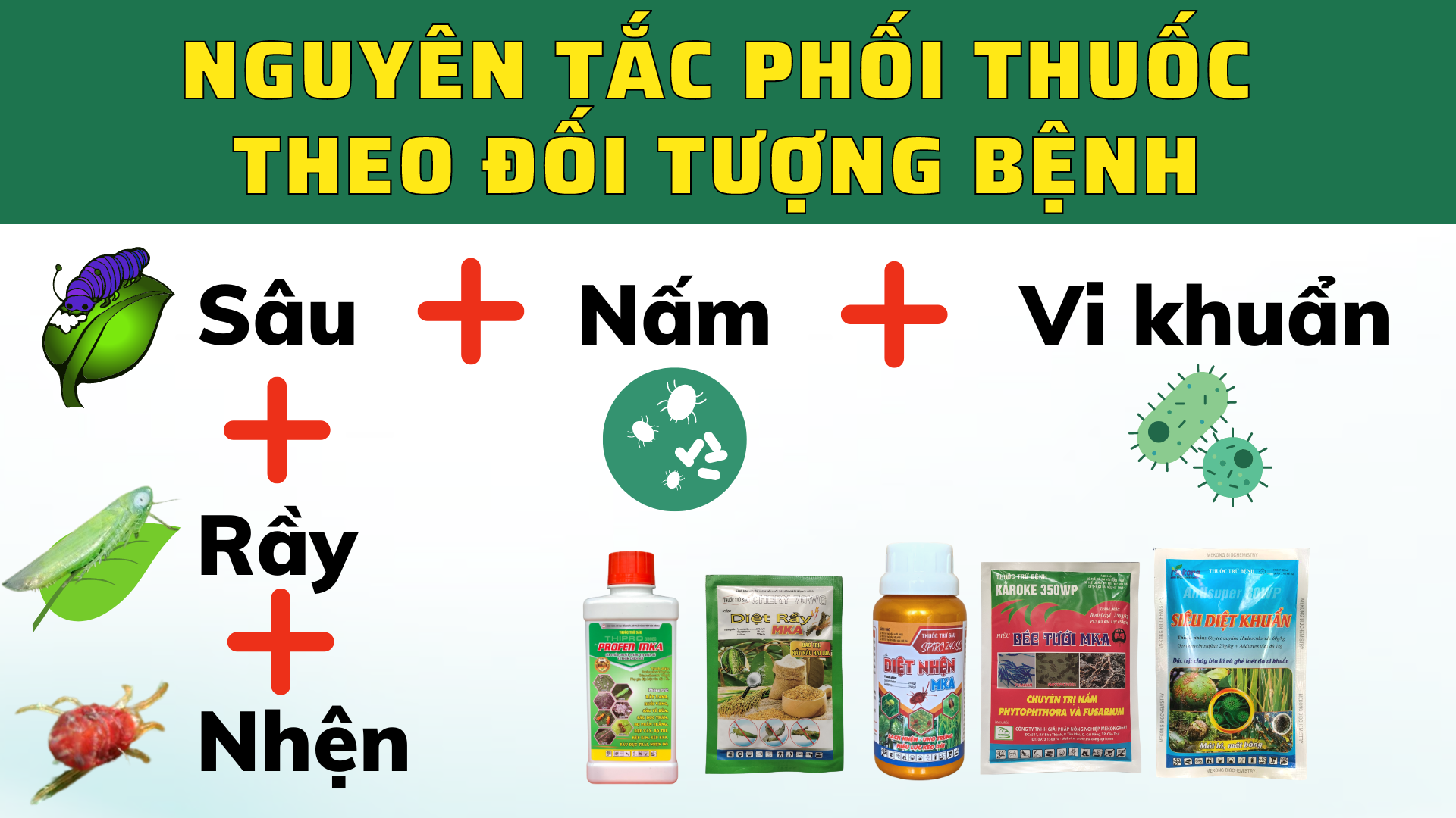 NGUYÊN TẮC PHỐI THUỐC THEO ĐỐI TƯỢNG BỆNH (2)