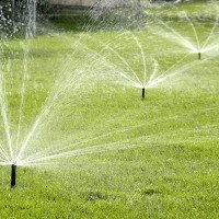 sprinkler.-01-e1618910832923