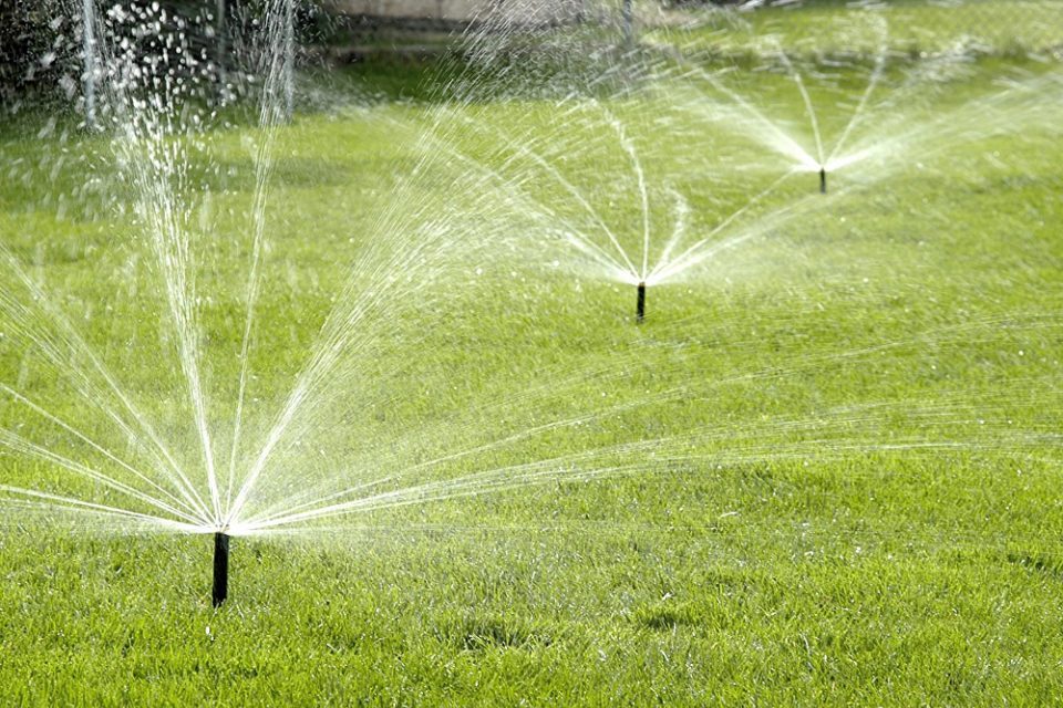 sprinkler.-01-e1618910832923