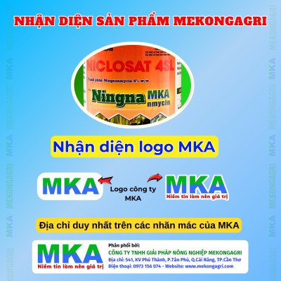 vi khuẩn ningnanmycin MKA 5