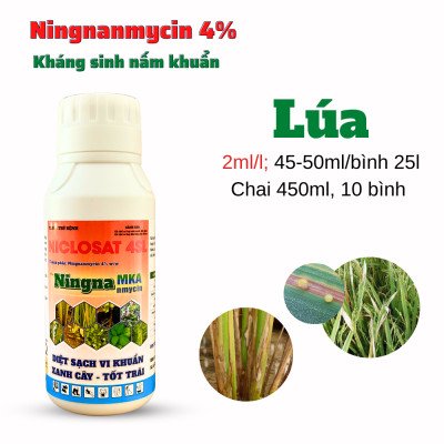 vi khuẩn ningnanmycin MKA 11