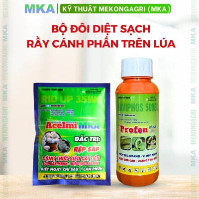 Bộ đôi siêu diệt rầy cánh phấn trên lúa