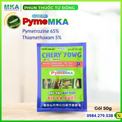 Pyme MKA phunthuotudong