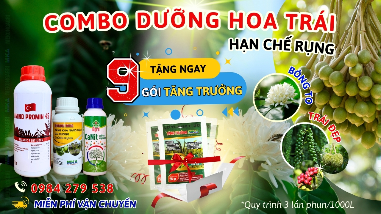 Phun thuốc tự động mka 3