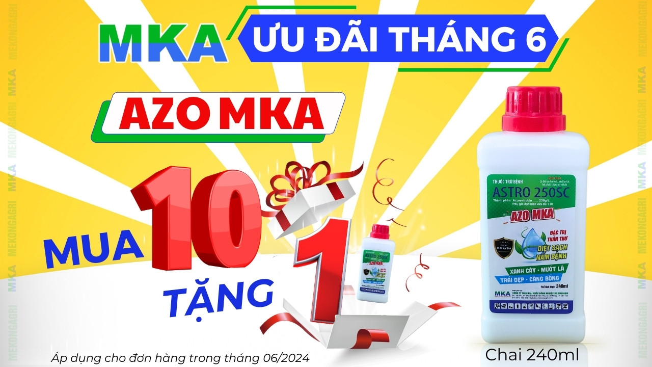 Phun thuốc tự động mka 5