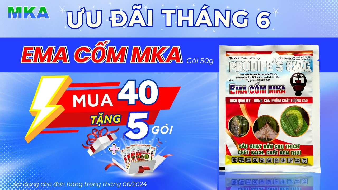 Phun thuốc tự động mka 6