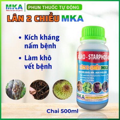 Lân 2 chiều MKA (2)