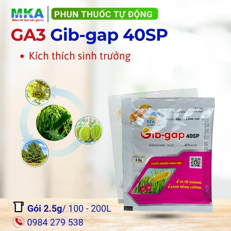 GA3 gip gap 40SP