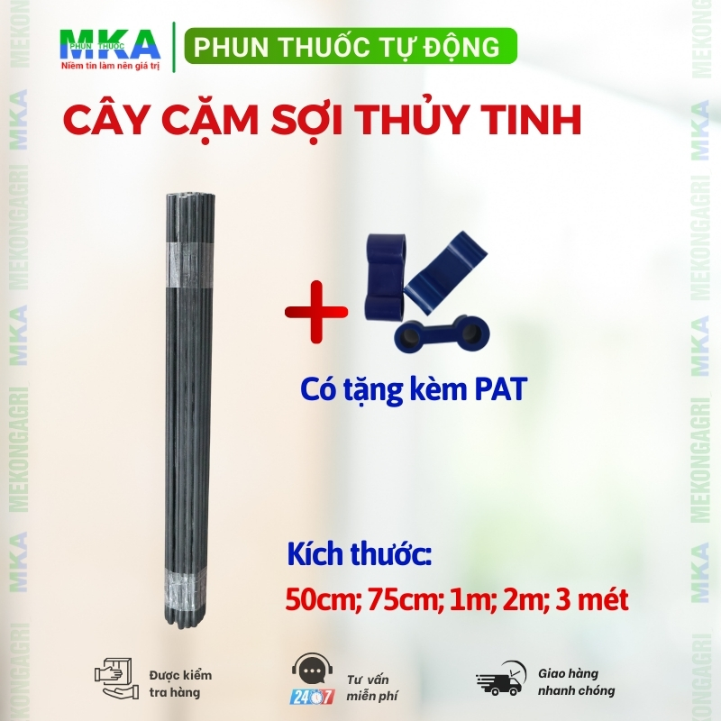 Cây cặm sợi thủy tinh