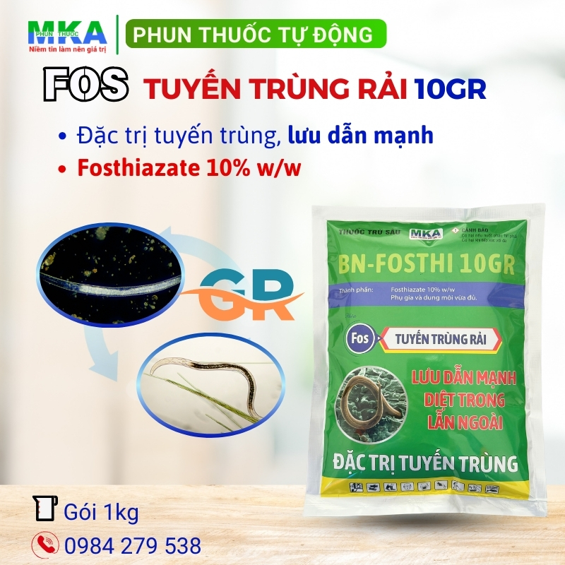 Fos Tuyến trùng rải mka