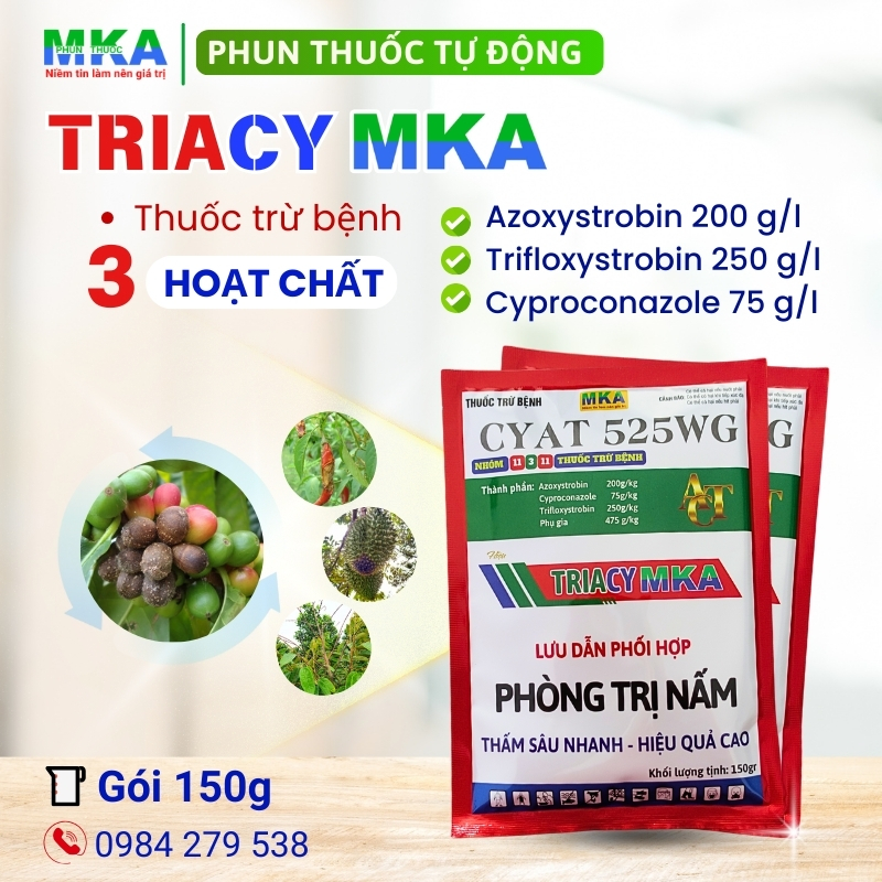 Triacy MKA (2)