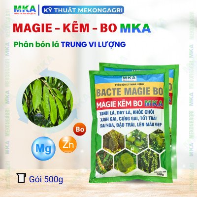 Magie kẽm bo mka