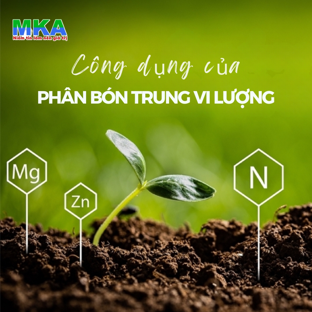 PHÂN BÓN TRUNG VI LƯỢNG MAGIE KẼM BO (1)