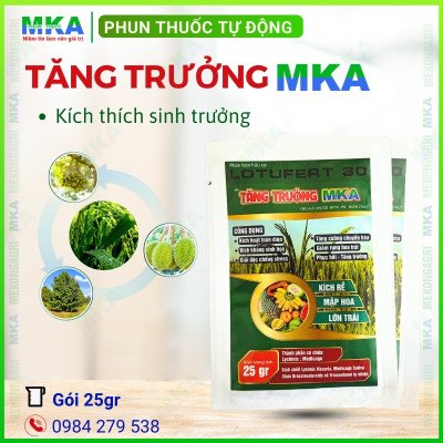 Tăng trưởng MKA (1)