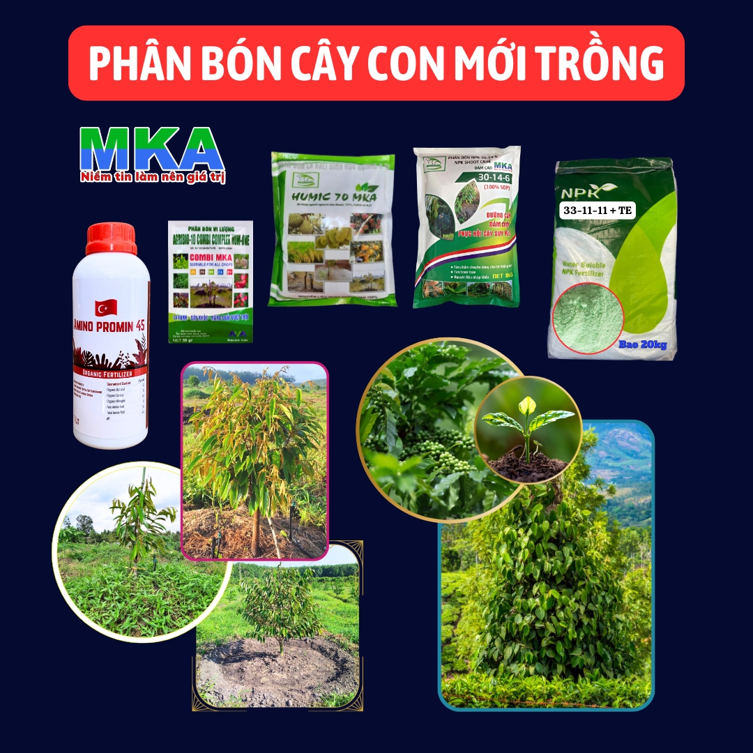 PHÂN BÓN CÂY CON MỚI TRỒNG