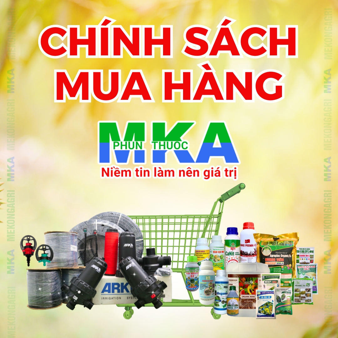 CHÍNH SÁCH MUA HÀNG