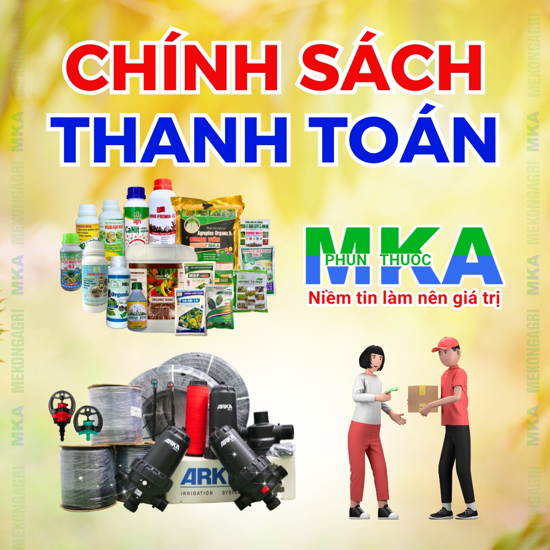 Chính sách thanh toán MKA