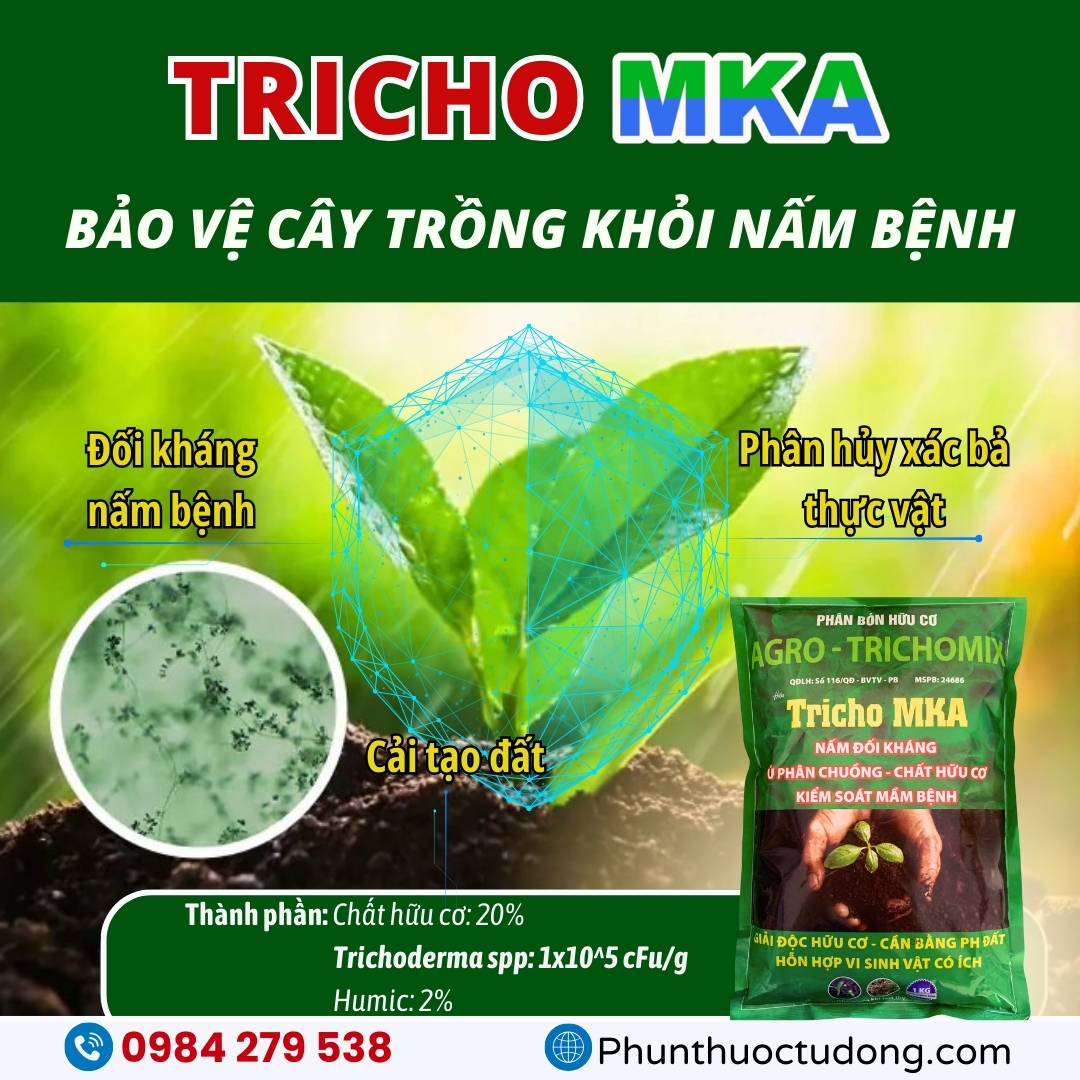 Nấm đối kháng trichoderma