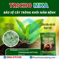 Nấm đối kháng trichoderma