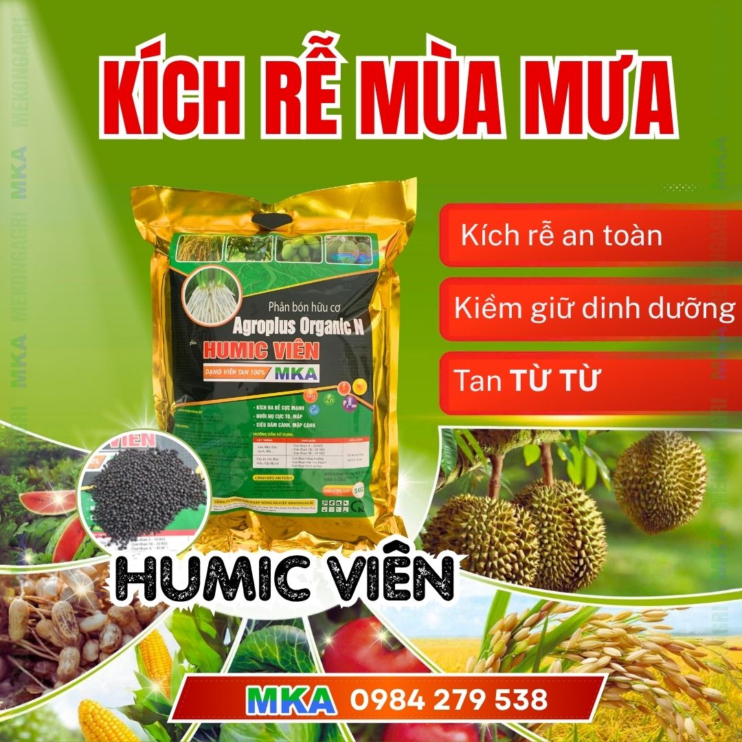 Humic viên MKA (3)