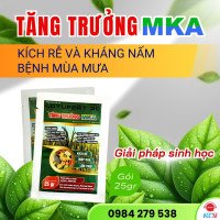 tăng trưởng MKA
