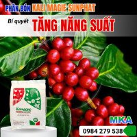 tab cộng đồng 2 (1)