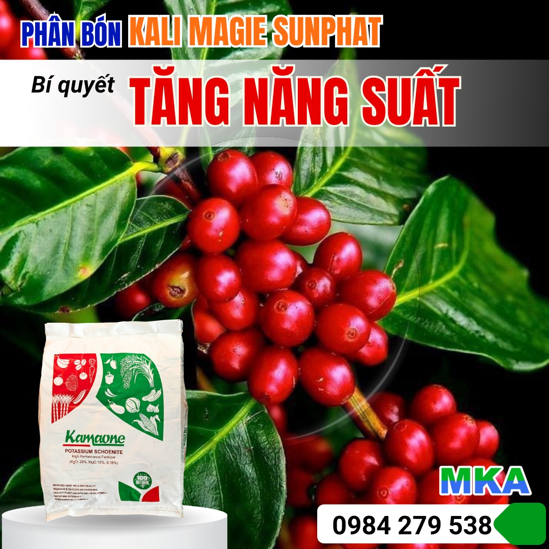 tab cộng đồng 2 (1)