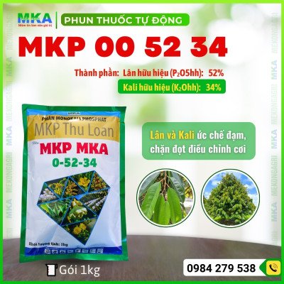 MKP MKA phân bón chặn đọt tạo mầm hoa