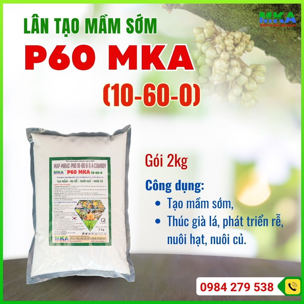 Lân tạo mầm sớm P60 mka (3)