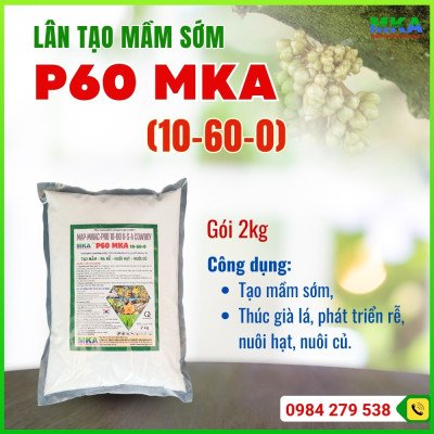 Lân tạo mầm sớm P60 mka (3)