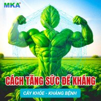 cách tăng sức đề kháng cho cây trồng (1)