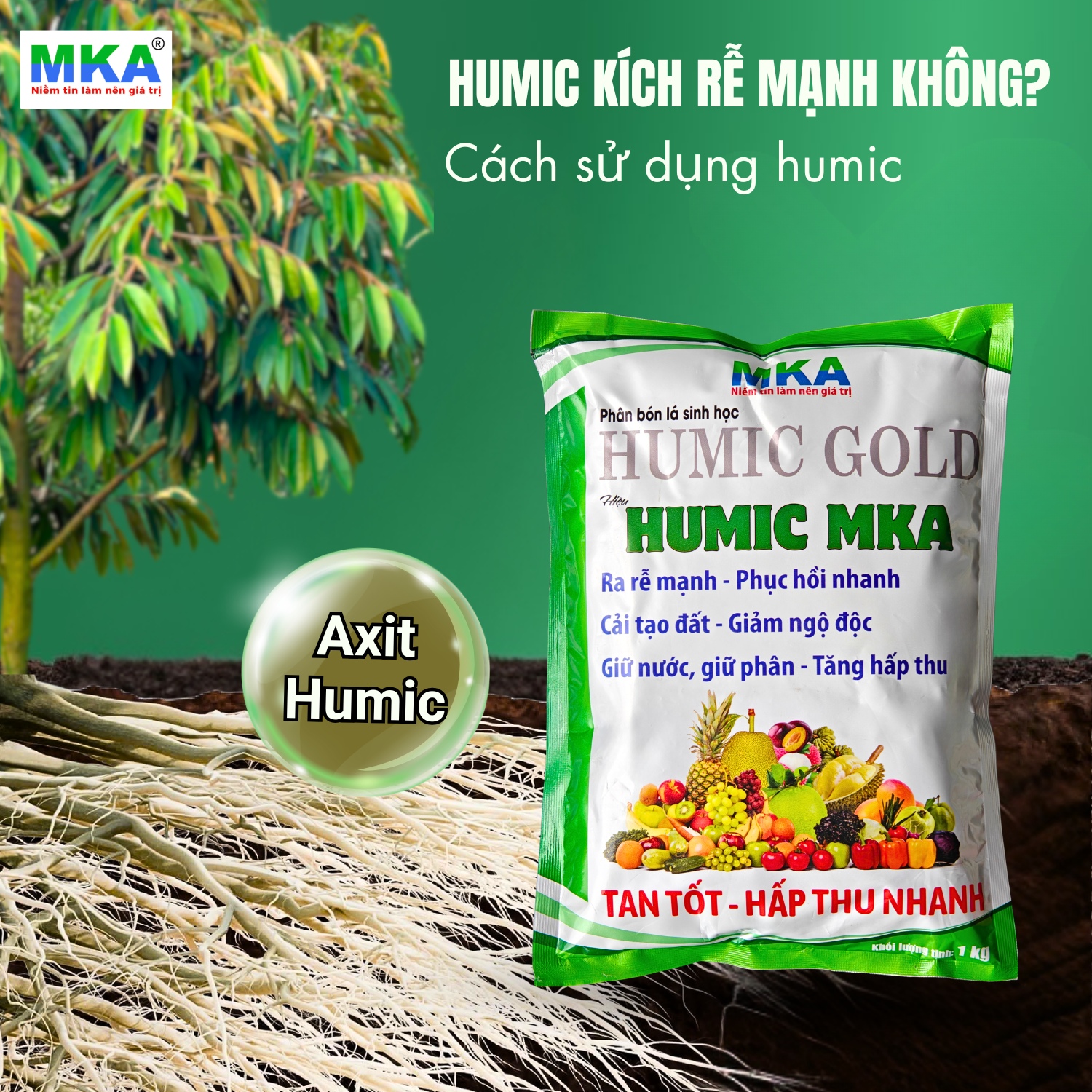 Humic Lettering Humic kích rễ