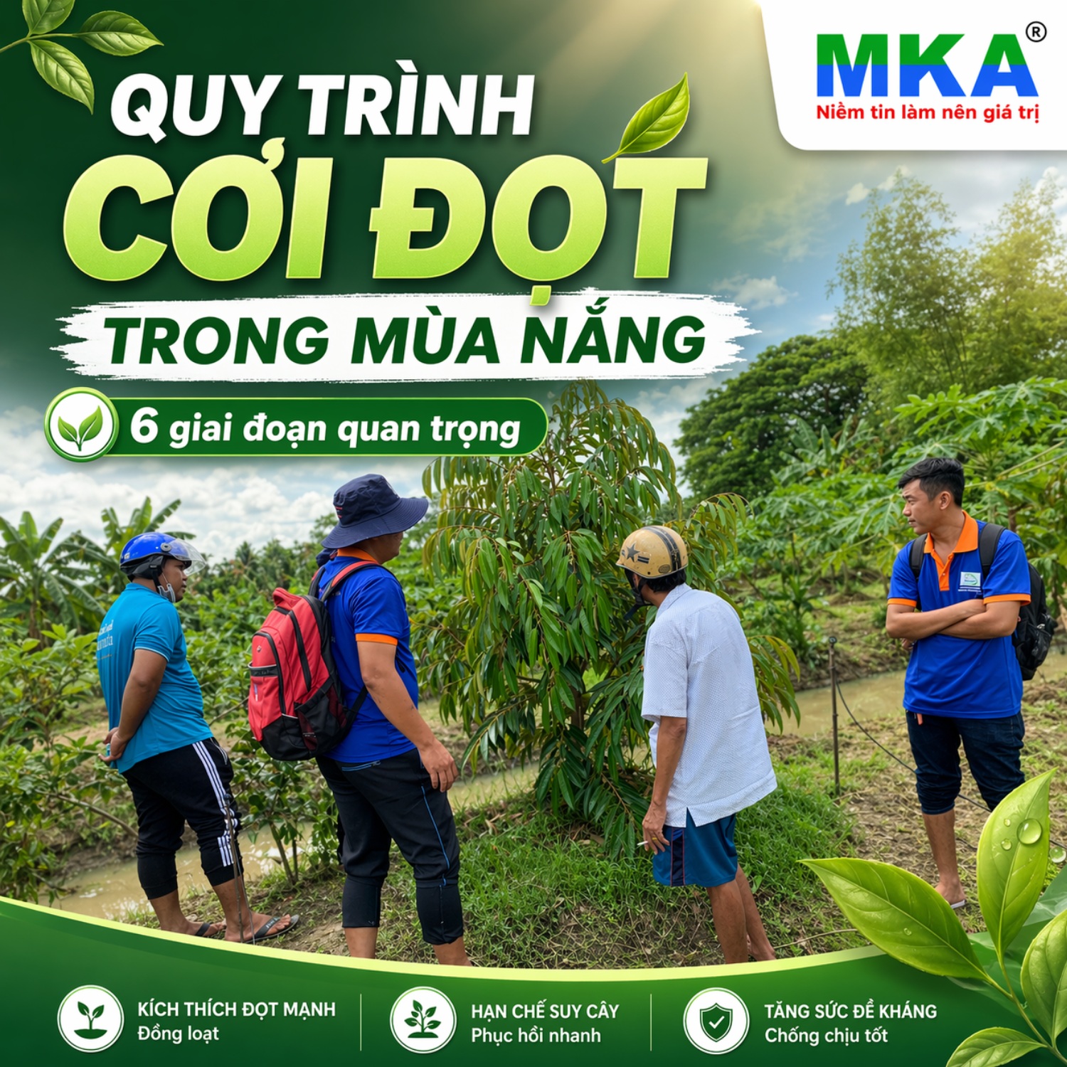 quy trình cơi đọt mùa nắng (1)