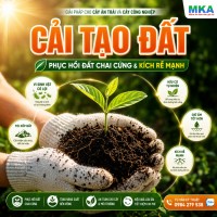 Cải tạo đất