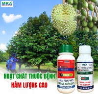 hoạt chất thuốc bệnh hàm lượng cao cây sầu riêng