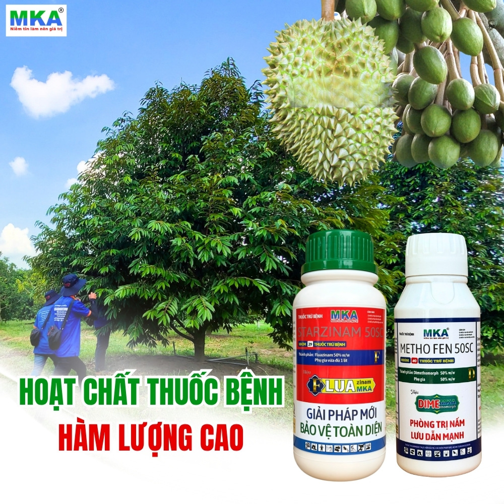 hoạt chất thuốc bệnh hàm lượng cao cây sầu riêng
