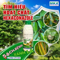 tìm hiểu hoạt chất Hexaconazole diệt nấm và chặn đọt