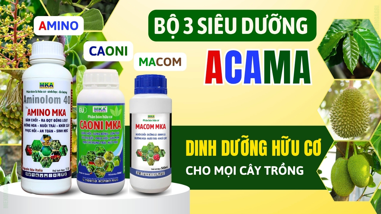 Bộ 3 siêu dưỡng ACAMA MKA dưỡng lá, dưỡng hoa và dưỡng trái