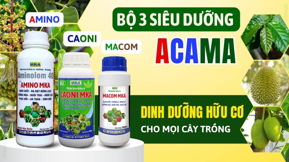 Bộ 3 siêu dưỡng ACAMA MKA dưỡng lá, dưỡng hoa và dưỡng trái