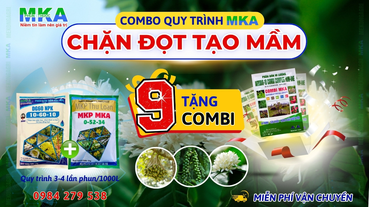 Bộ chặn đọt tạo mầm MKA website phunthuoctudong