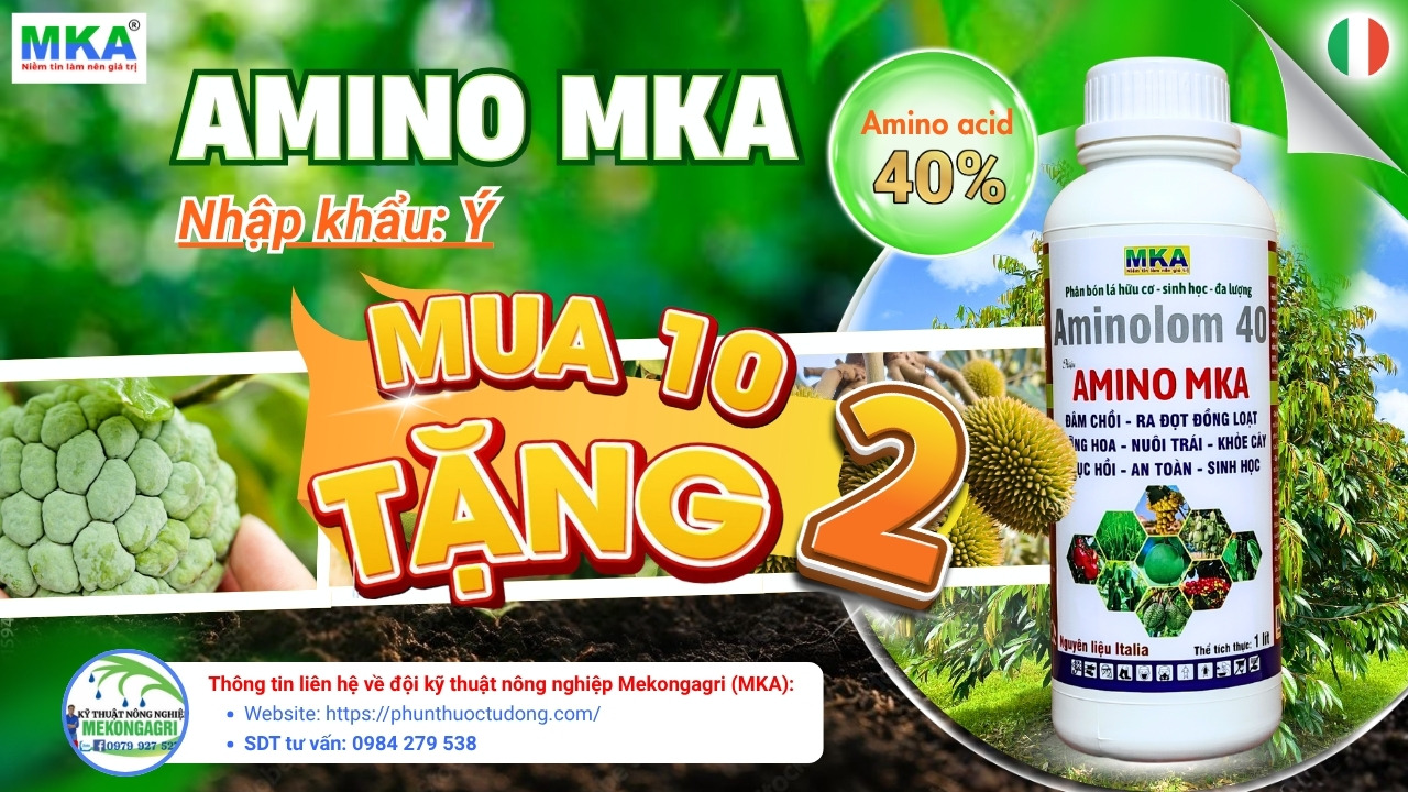 MKA khuyến mãi Phân bón amino acid nhập khẩu Ý mua 10 tặng 2