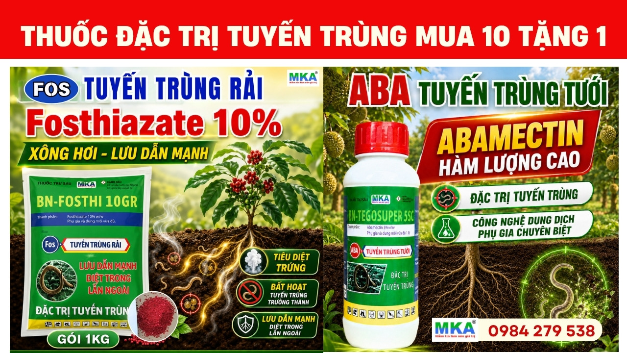 Thuốc tuyến trùng, đặc trị tuyến trùng MKA khuyến mãi mua 10 tặng 1