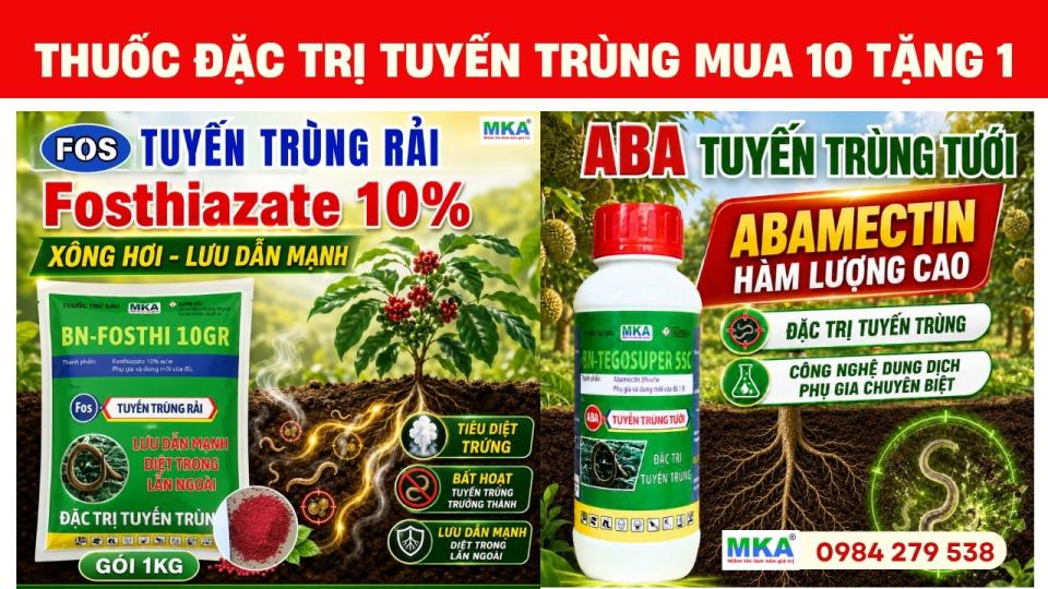 Thuốc tuyến trùng, đặc trị tuyến trùng MKA khuyến mãi mua 10 tặng 1