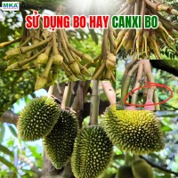 Khi nào nên dùng Bo đơn, khi nào dùng Canxi Bo