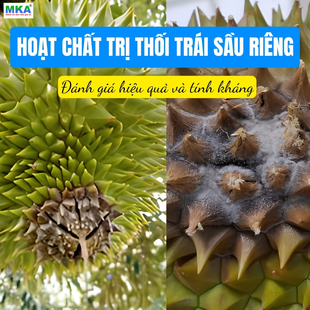 Hoạt chất trị thối trái sầu riêng