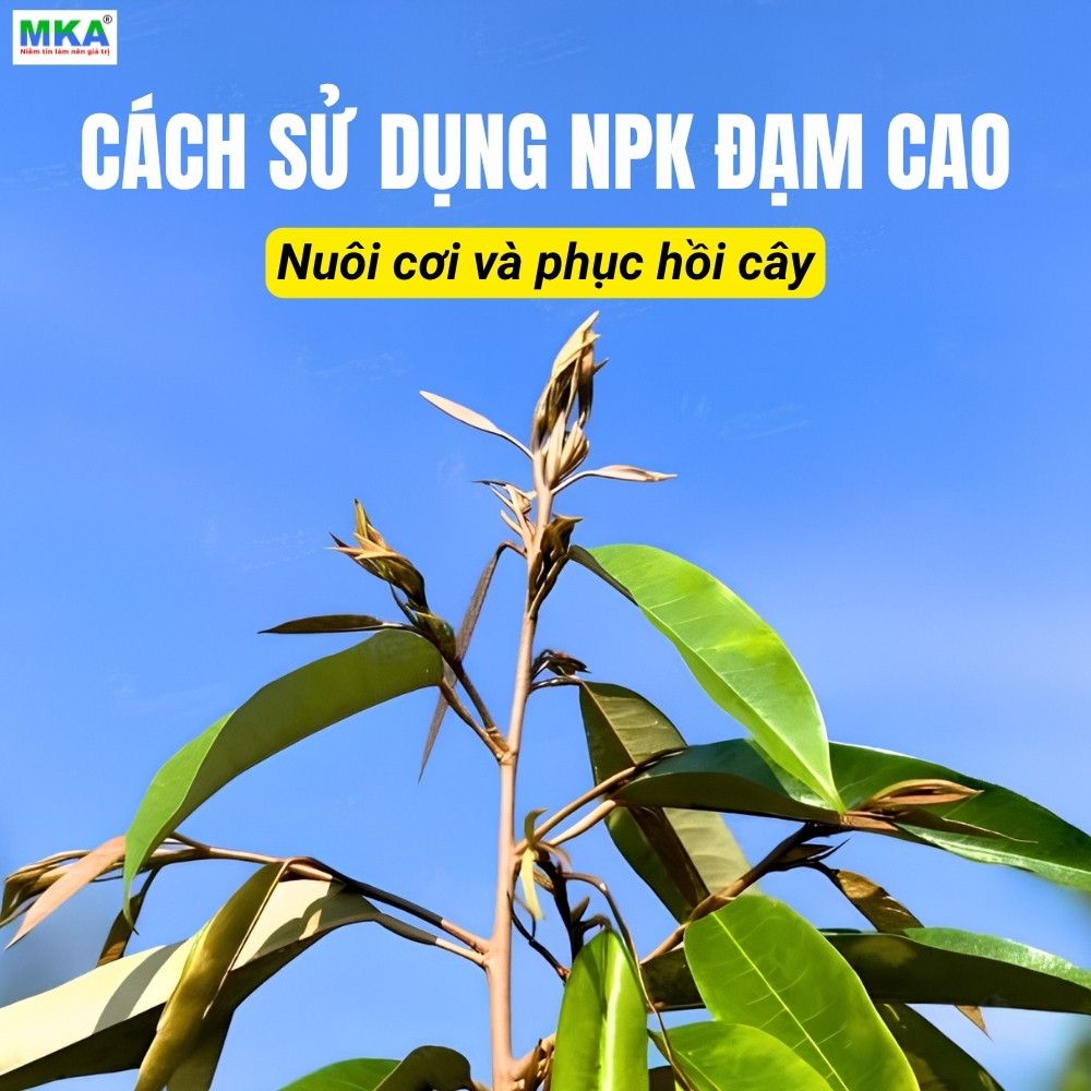 Cách sử dụng NPK Đạm cao (1)