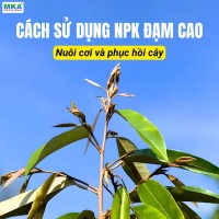 Cách sử dụng NPK Đạm cao (1)