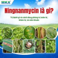 Ningnanmycin là gì